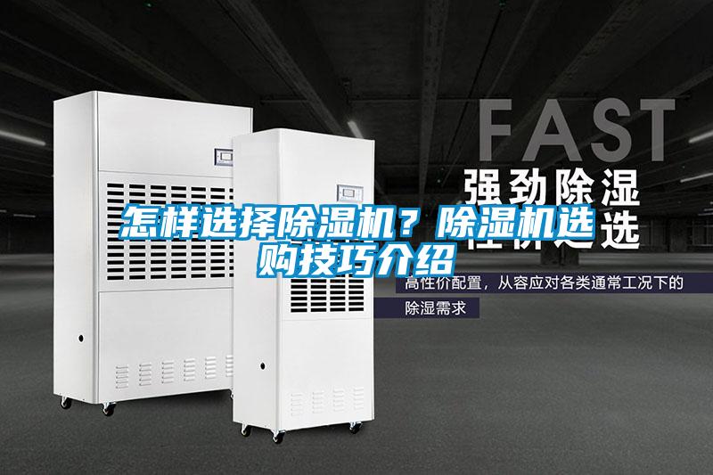 国产精品欧美激情视频 怎样选择除湿机？除湿机选购技巧介绍