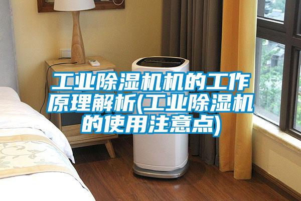 国产精品探花在线观看 工业除湿机机的工作原理解析(工业除湿机的使用注意点)