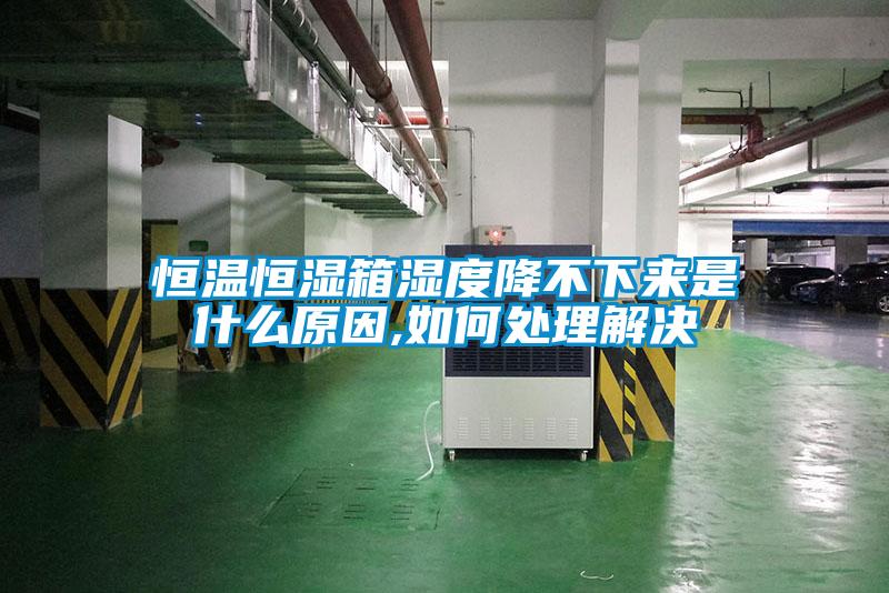 国产精品欧美激情视频 恒温恒湿箱湿度降不下来是什么原因,如何处理解决