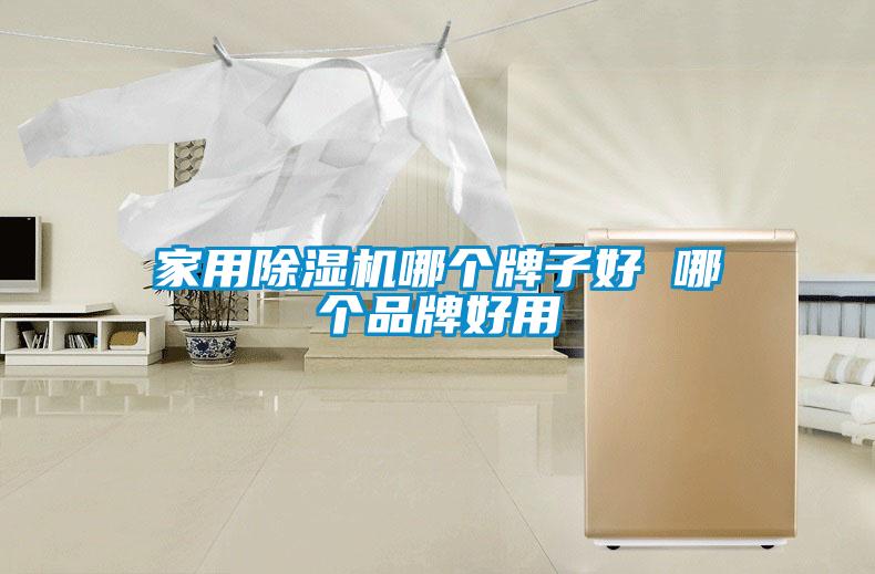 国产精品欧美激情视频 家用除湿机哪个牌子好 哪个品牌好用