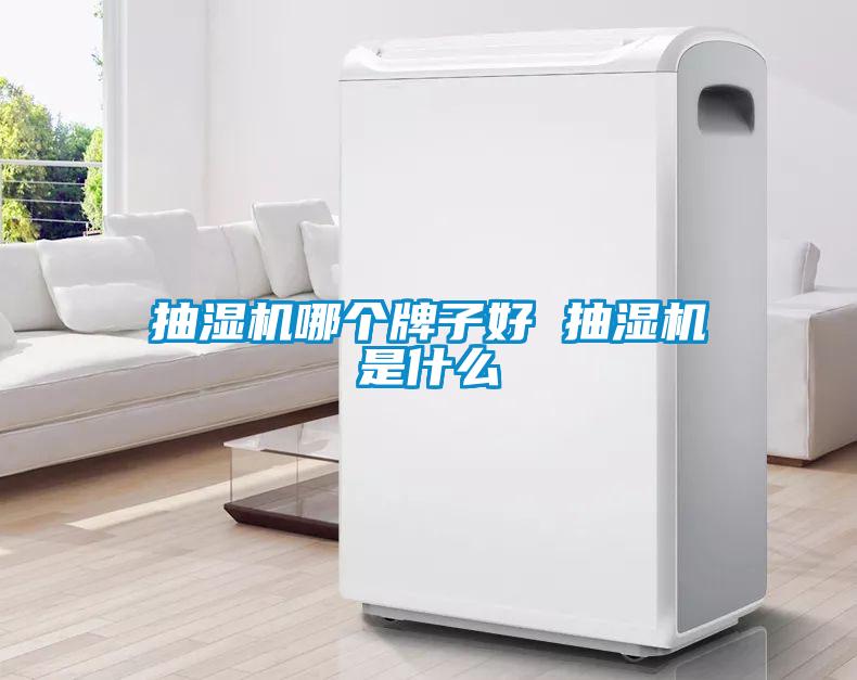 国产精品三级在线观看 抽湿机哪个牌子好 抽湿机是什么