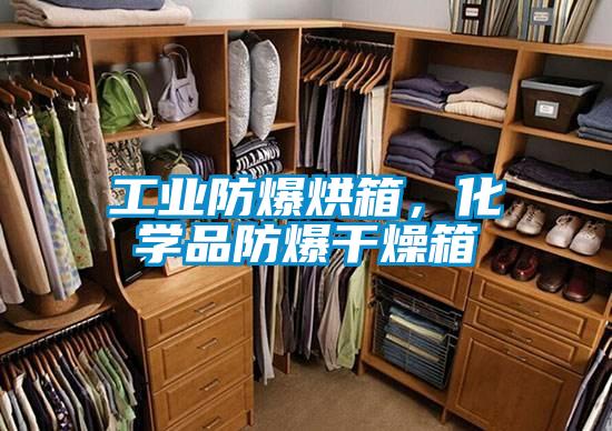 国产精品欧美激情视频 工业防爆烘箱，化学品防爆干燥箱