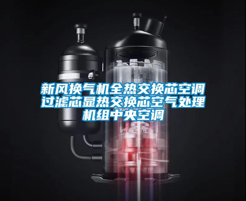 国产精品三级在线观看 新风换气机全热交换芯空调过滤芯显热交换芯空气处理机组中央空调