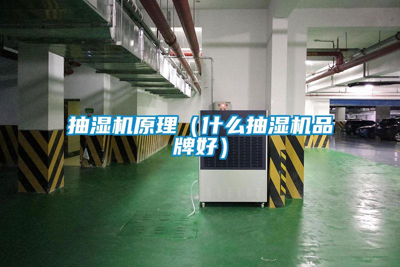 国产精品探花在线观看 抽湿机原理（什么抽湿机品牌好）
