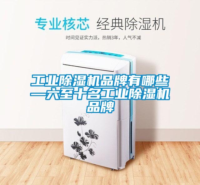 国产精品欧美激情视频 工业除湿机品牌有哪些—六至十名工业除湿机品牌
