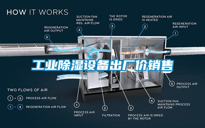 国产精品三级在线观看 工业除湿设备出厂价销售