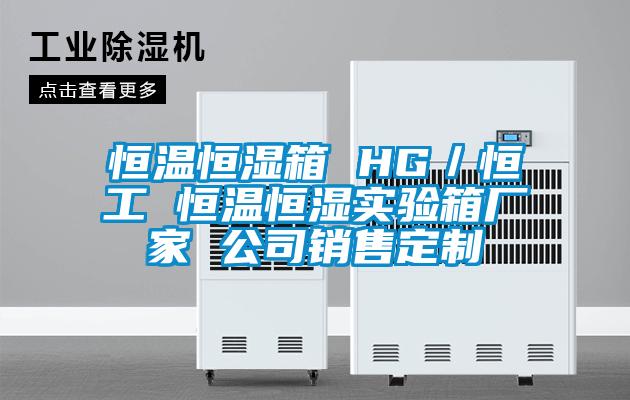 国产精品探花在线观看 恒温恒湿箱 HG／恒工 恒温恒湿实验箱厂家 公司销售定制