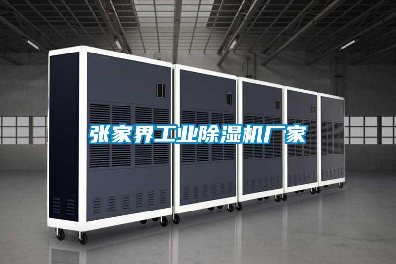 国产精品欧美激情视频 张家界工业除湿机厂家