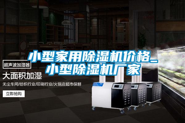 国产精品三级在线观看 小型家用除湿机价格_小型除湿机厂家