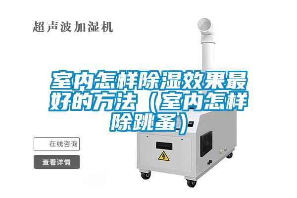 国产精品三级在线观看 室内怎样除湿效果最好的方法（室内怎样除跳蚤）