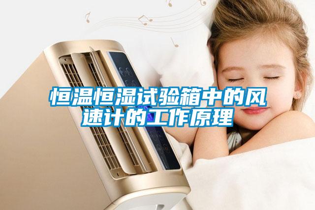 国产精品三级在线观看 恒温恒湿试验箱中的风速计的工作原理