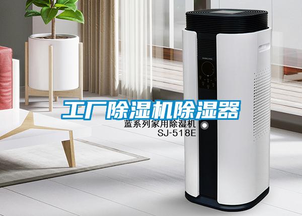 国产精品三级在线观看 工厂除湿机除湿器