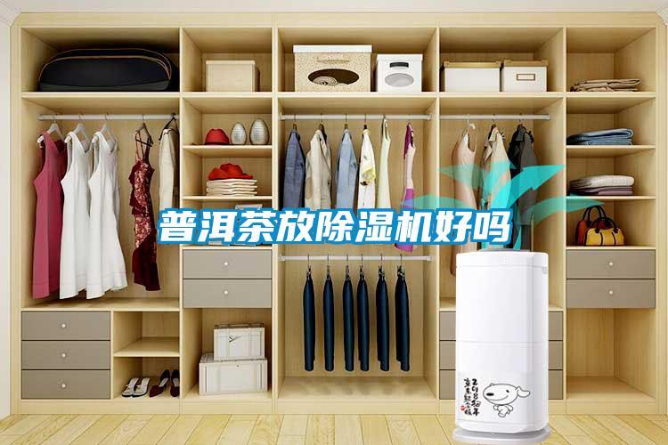国产精品探花在线观看 普洱茶放除湿机好吗