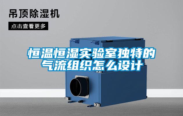 国产精品欧美激情视频 恒温恒湿实验室独特的气流组织怎么设计