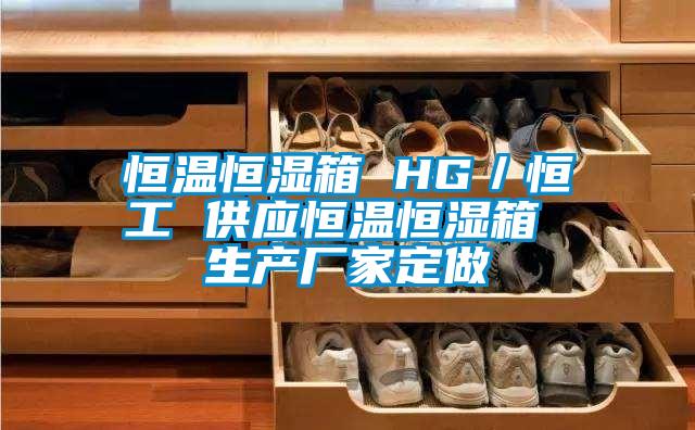 国产精品三级在线观看 恒温恒湿箱 HG／恒工 供应恒温恒湿箱 生产厂家定做
