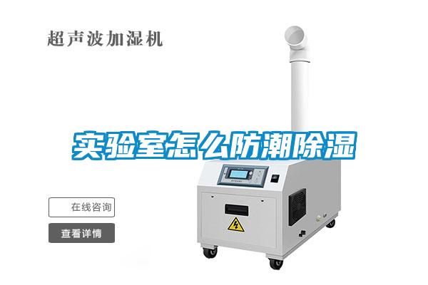 国产精品欧美激情视频 实验室怎么防潮除湿