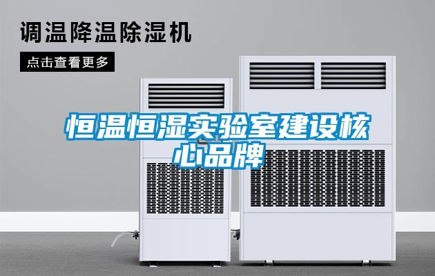 国产精品三级在线观看 恒温恒湿实验室建设核心品牌