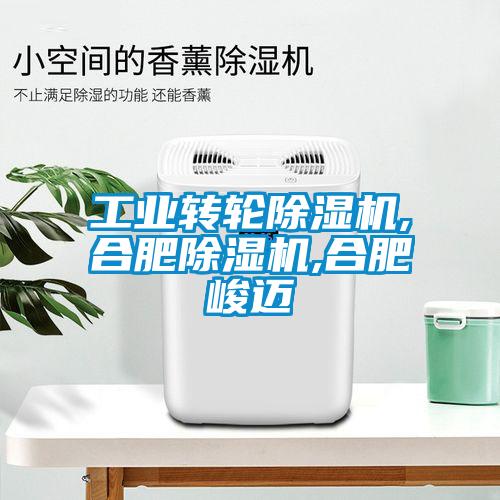 国产精品三级在线观看 工业转轮除湿机,合肥除湿机,合肥峻迈