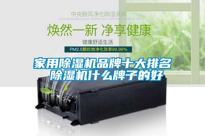 国产精品探花在线观看 家用除湿机品牌十大排名 除湿机什么牌子的好