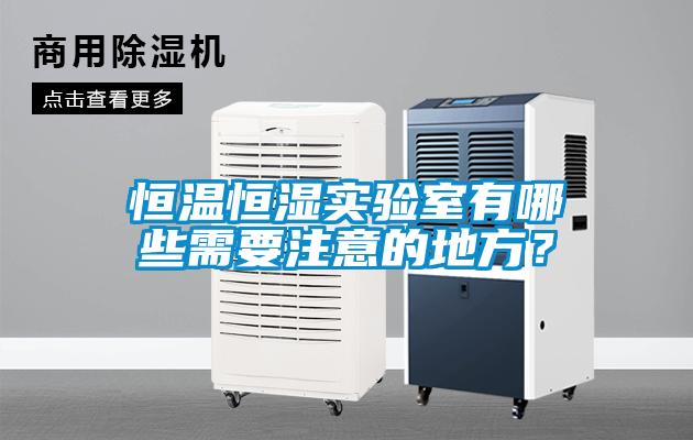 国产精品三级在线观看 恒温恒湿实验室有哪些需要注意的地方？