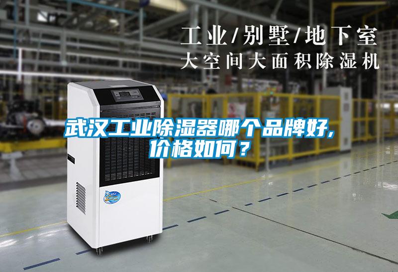 国产精品三级在线观看 武汉工业除湿器哪个品牌好,价格如何？