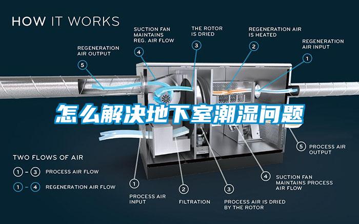 国产精品三级在线观看 怎么解决地下室潮湿问题