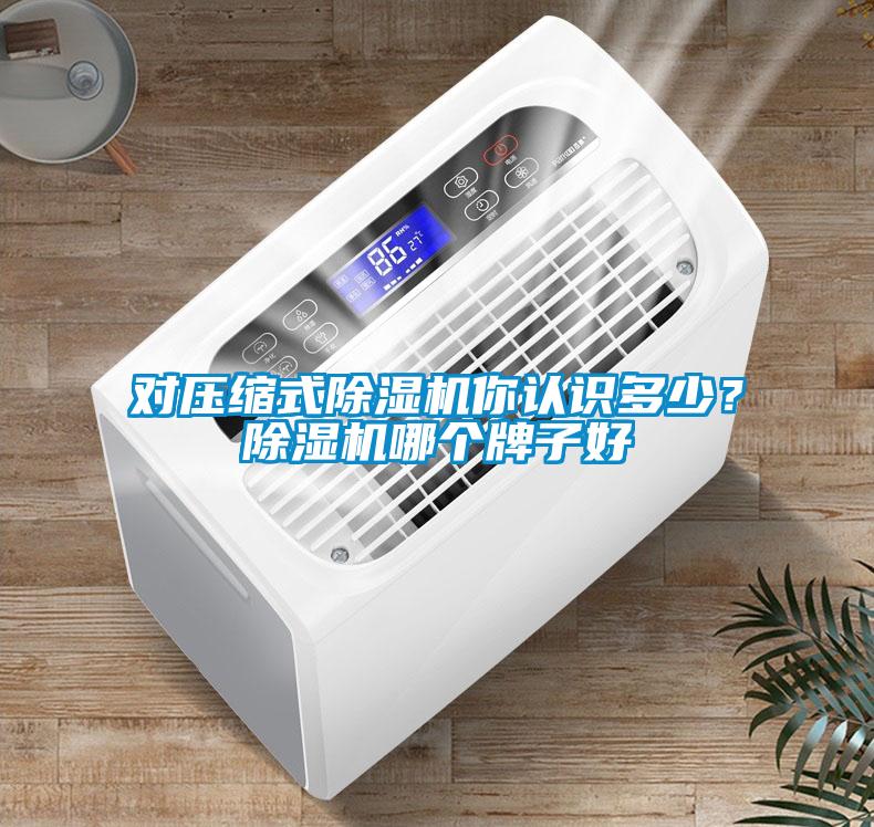 国产精品欧美激情视频 对压缩式除湿机你认识多少？除湿机哪个牌子好