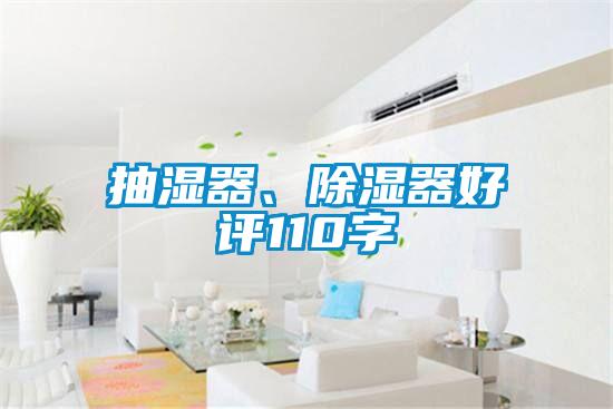 国产精品探花在线观看 抽湿器、除湿器好评110字