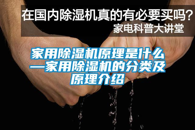 国产精品探花在线观看 家用除湿机原理是什么—家用除湿机的分类及原理介绍
