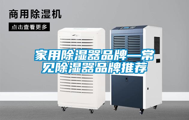 国产精品欧美激情视频 家用除湿器品牌—常见除湿器品牌推荐