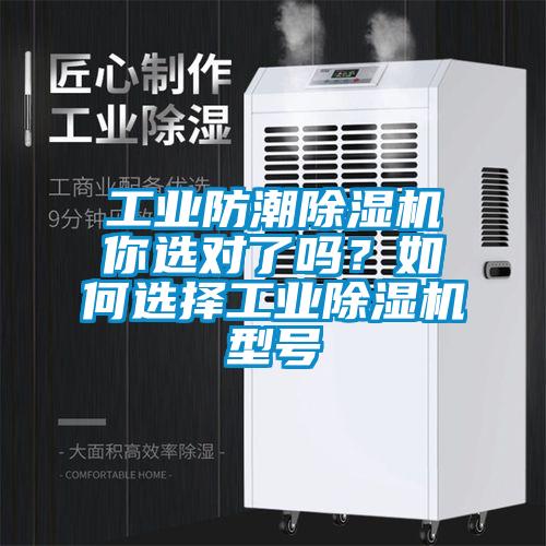 国产精品探花在线观看 工业防潮除湿机你选对了吗？如何选择工业除湿机型号