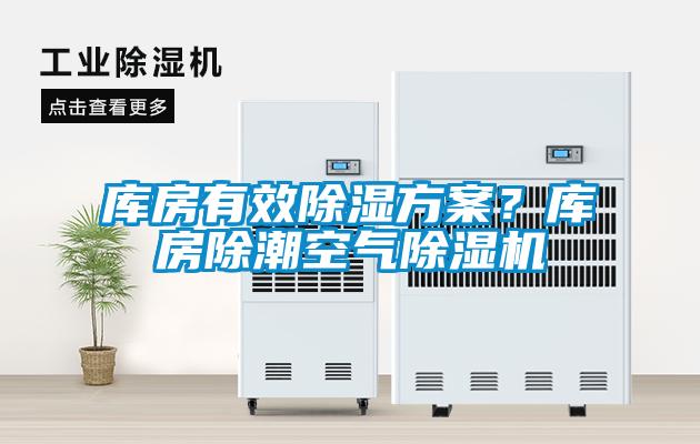 国产精品欧美激情视频 库房有效除湿方案？库房除潮空气除湿机