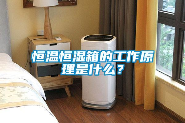 国产精品探花在线观看 恒温恒湿箱的工作原理是什么？