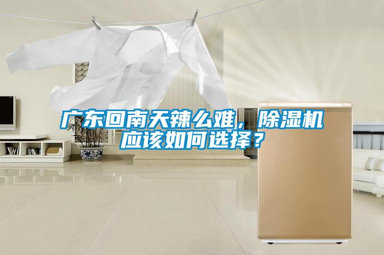 国产精品欧美激情视频 广东回南天辣么难，除湿机应该如何选择？