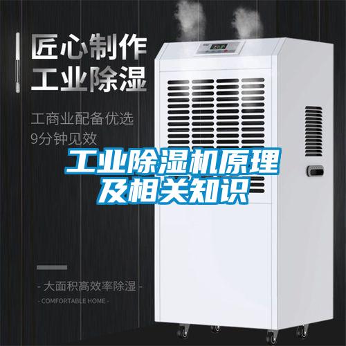 国产精品探花在线观看 工业除湿机原理及相关知识