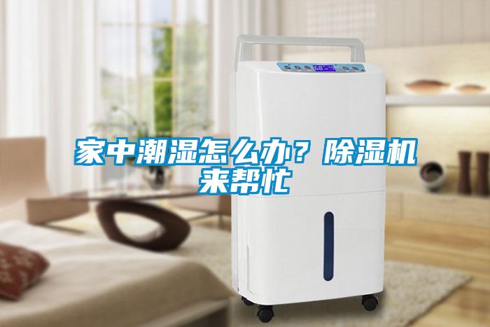 国产精品欧美激情视频 家中潮湿怎么办？除湿机来帮忙