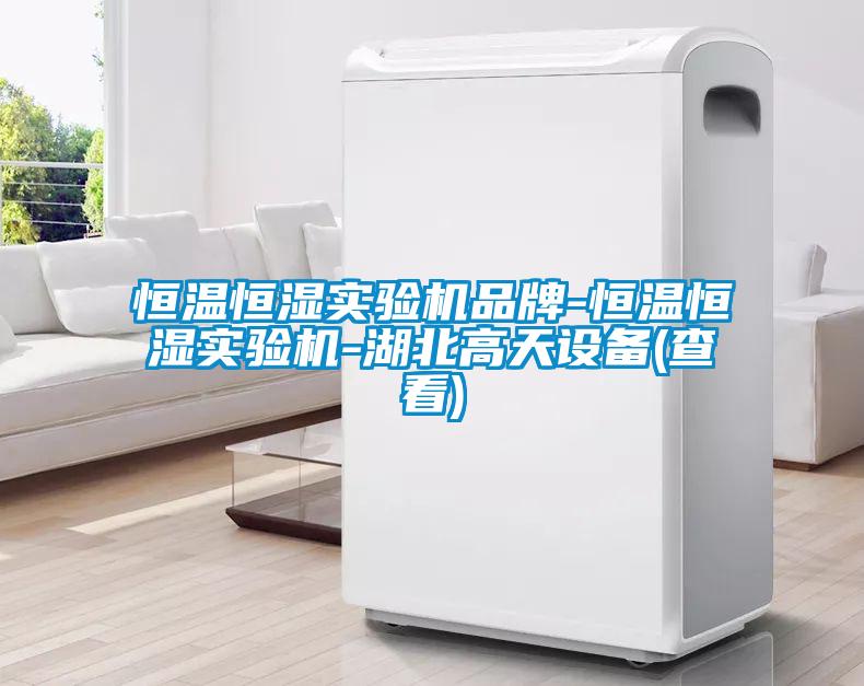 国产精品欧美激情视频 恒温恒湿实验机品牌-恒温恒湿实验机-湖北高天设备(查看)