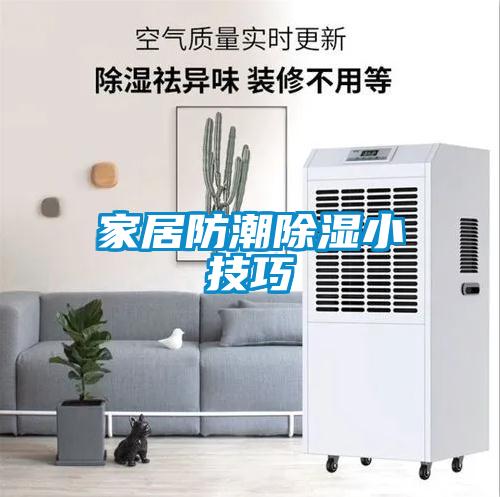 国产精品探花在线观看 家居防潮除湿小技巧