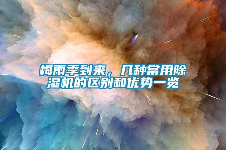 国产精品三级在线观看 梅雨季到来，几种常用除湿机的区别和优势一览