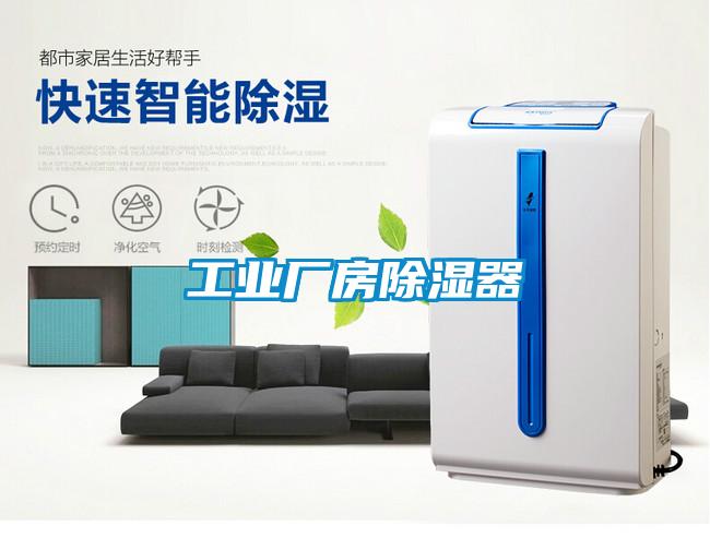 国产精品欧美激情视频 工业厂房除湿器