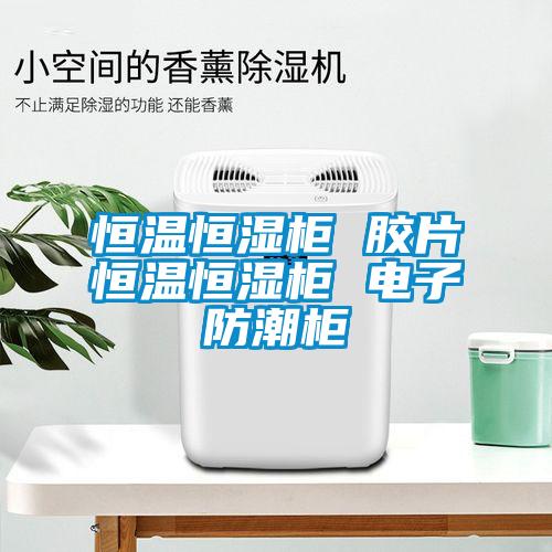 国产精品三级在线观看 恒温恒湿柜 胶片恒温恒湿柜 电子防潮柜