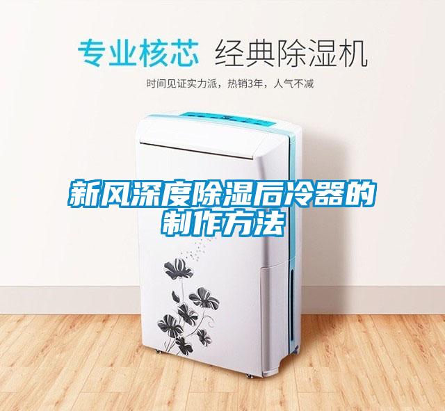 国产精品欧美激情视频 新风深度除湿后冷器的制作方法