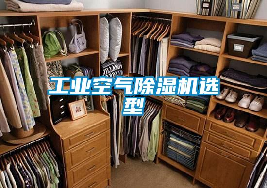 国产精品欧美激情视频 工业空气除湿机选型