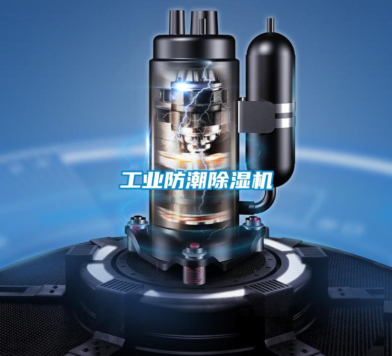 国产精品三级在线观看 工业防潮除湿机
