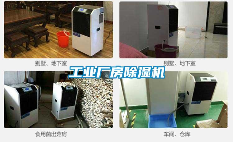 国产精品三级在线观看 工业厂房除湿机