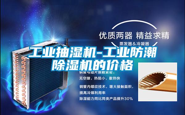 国产精品三级在线观看 工业抽湿机-工业防潮除湿机的价格