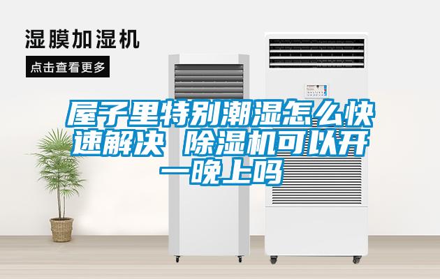 国产精品三级在线观看 屋子里特别潮湿怎么快速解决 除湿机可以开一晚上吗