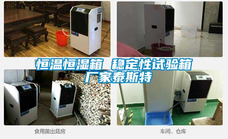 国产精品探花在线观看 恒温恒湿箱 稳定性试验箱 厂家泰斯特
