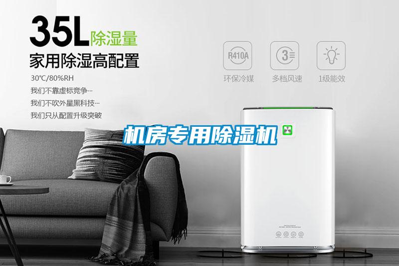国产精品探花在线观看 机房专用除湿机