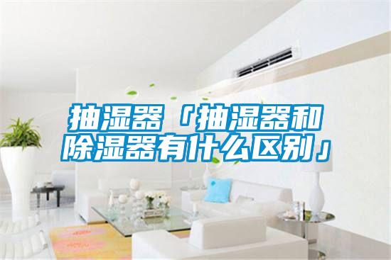 国产精品三级在线观看 抽湿器「抽湿器和除湿器有什么区别」